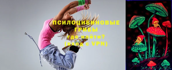 дмт Новодвинск