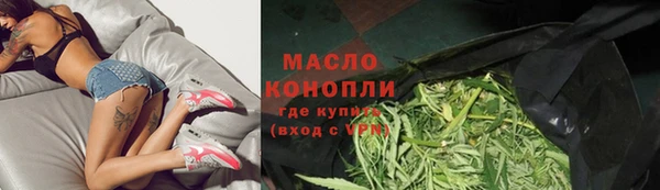 дмт Новодвинск