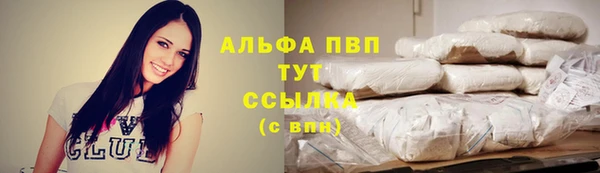 дмт Новодвинск
