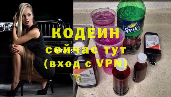 индика Нея