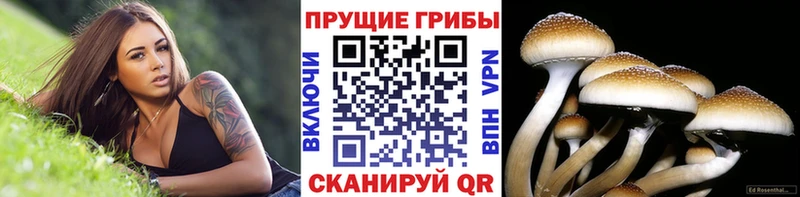 Псилоцибиновые грибы Magic Shrooms  Котельники 