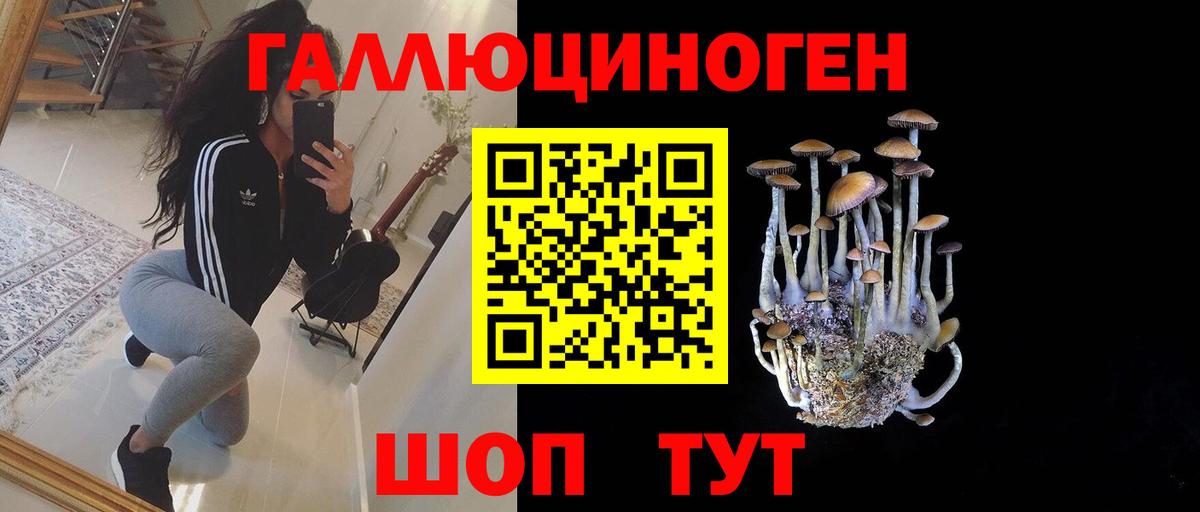 Галлюциногенные грибы Psilocybe  продажа наркотиков  Котельники  Вход с VPN 